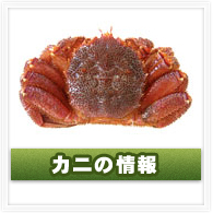 カニ情報