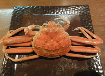 メスのズワイガニ