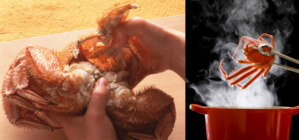 カニの食べ方イメージ