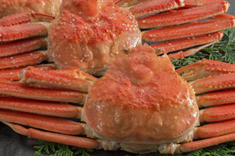 通販のずわいがに